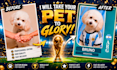 create a custom collector trading card with your pet photo