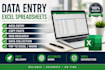 do data entry, excel work and web searching