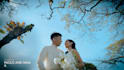 do wedding films and wedding highlights