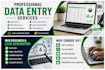 data entry, web research, lead generation and PDF conversion