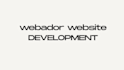 webador website design and developement