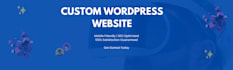 design a professional wordpress website using elementor