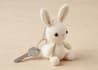 write professional crochet patterns and design amigurumi PDF