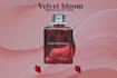 design professional perfum poster
