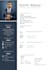 create a modern professional CV resume