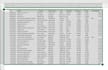 do excel data cleaning and data formatting perfectly