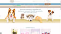 design a professional dog training website