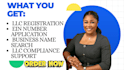 guide you through llc filing and compliance