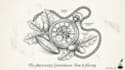 draw a pen and ink illustration