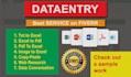 do professional data entry and virtual asistant work