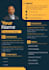 create professioinal CV, bussiness cards, company logo,