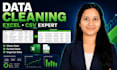 clean, format, and organize excel or CSV data