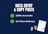 do professional copy paste, data entry and wed research