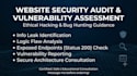 do website security audit and vulnerability assessment