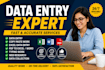 do professional data entry, copy paste, excel work
