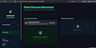 build a custom ai web app to classify, detect, or predict using python