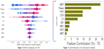 data cleaning, visualization, modelling and optimization