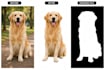 do professional image masking