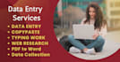 do fast and accurate data entry and copy paste work