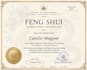 do all about feng shui
