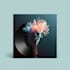 animate your album cover art
