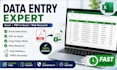 do excel data entry, PDF to excel, copy paste and web research
