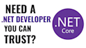 build a professional asp dotnet core web app or rest API