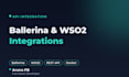 build a ballerina integration or wso2 connector for your API