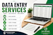 do fast and accurate data entry