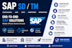 solve sap sd tm issues abap debugging, and  idoc requirements