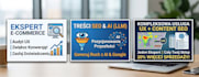 ux seo copy ai zysk