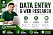 do data entry, web research and lead generation