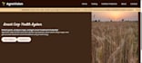 train ai models and build frontend and backend websites