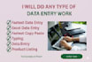 do professional data entry and virtual assistant task