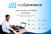 develop and customize nopcommerce themes