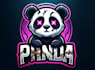 create panda racing mascot logo with express delivery