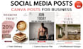 design canva social media posts
