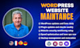 maintain wordpress membership website, fix errors and keep it secure monthly