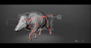create realistic 3d animal animation and wildlife cgi videos