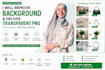remove image background professionally and deliver transparent png