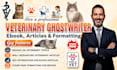 ghostwrite veterinary ebook, article, blog post, animal care, formatting
