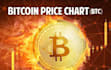 install daily withdrawal bitcoin bot
