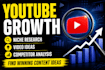 research youtube niche, video ideas and competitor analysis