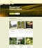 create an interactive website