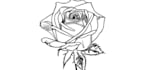 create custom tattoo flash sheets
