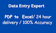 do data entry ,excel , copy paste , work accurately