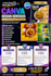 create designs on canva