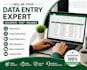 do accurate data entry,copy paste and excel data entry tasks