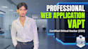 do web application penetration testing and security audit vapt