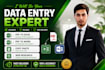 do data entry, copy paste, PDF to excel, and web research